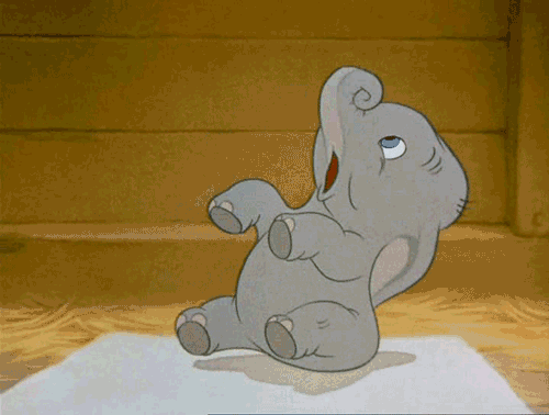 What the GIF!