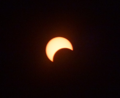bigbobsbeepers:lacigreen: spirilla:Solar Eclipse from my backyard. 