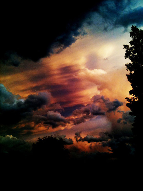 http://vida-poesia-crua.tumblr.com/post/23513129499