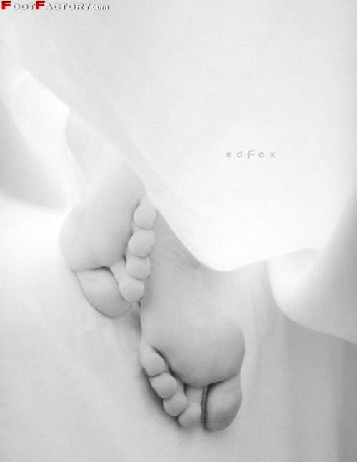 Beautiful_feet_with_high_arches_in_black_and_white adult photos