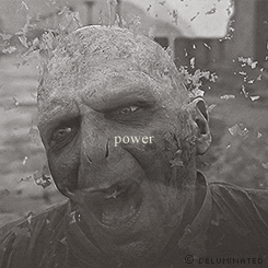 the-absolute-best-gifs:  Follow this blog, you will love it on your dashboard
