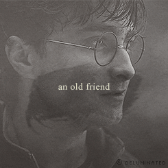 the-absolute-best-gifs:  Follow this blog, you will love it on your dashboard