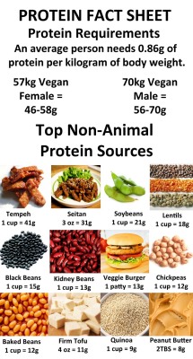 suckkitin:  What is protein? It is a family