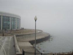 Littlebambieyesxo:  (Via Imgtumble)  This Is The Shedd Aquarium In Chicago! :D Ha