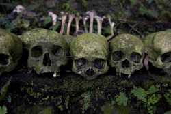antitacta:  Cadavers, Bones and Offerings