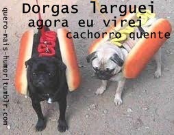 quero-mais-humor:  kkkkkk