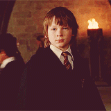 summcohen:  Harry Potter & the Deathly Hallows Part 2 | 1015 favourite moments→ The Prince’s Tale (11/15) 