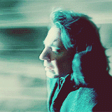 summcohen:  Harry Potter & the Deathly Hallows Part 2 | 1015 favourite moments→ The Prince’s Tale (11/15) 