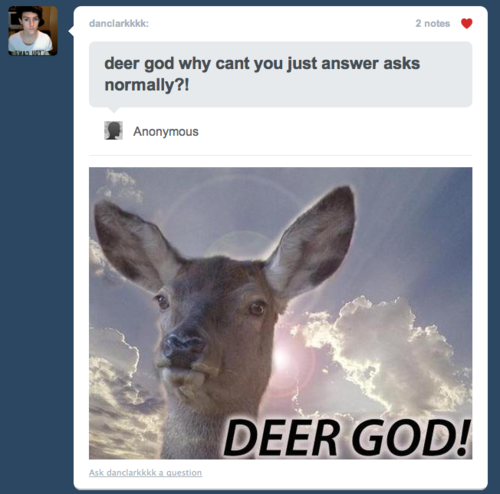 the-absolute-funniest-posts:  Follow this blog, you will love it on your dashboard