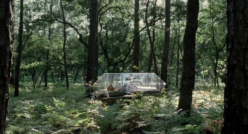 breathingvioletfog:  The Tree of Life (dir. Terrence Malick, 2011) 