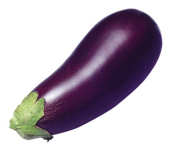 doctorholmesofhogwarts:  rainflaaash:  districtnineand-three-quarters:  accio—loki:  valkyriesmith:  solveitwithchocolate:  iou-a-fall-smeagol:  eleanull:  thechimeraresistance:  tltty:  if this eggplant gets less than 5 million notes i’m going to