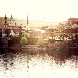  | ♕ |  Prague Spring - Vltava river bank 