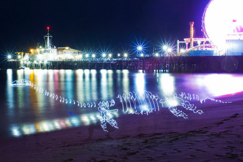 staceythinx:  Dinosaurs are back on the prowl in Darius Twin’s amazing light paintings. 