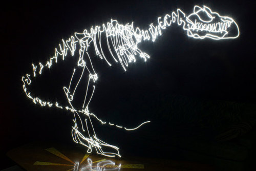 staceythinx:  Dinosaurs are back on the prowl in Darius Twin’s amazing light paintings. 