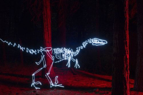 staceythinx:  Dinosaurs are back on the prowl in Darius Twin’s amazing light paintings. 