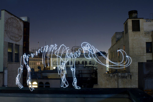 staceythinx:  Dinosaurs are back on the prowl in Darius Twin’s amazing light paintings. 