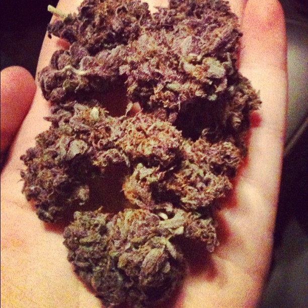 dinner-at-dahmers:  This granddaddy purp is the love of my life. 