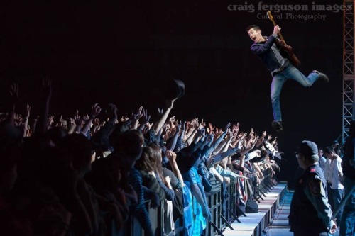 Jumping Alex enjoys crowd-surfing
