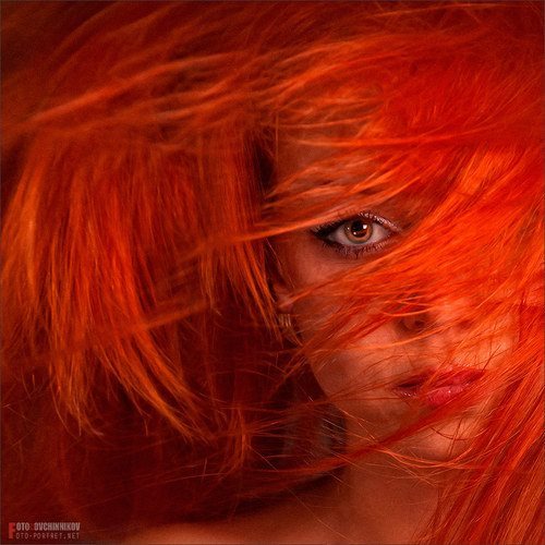 http://redbush.tumblr.com/post/23536455108