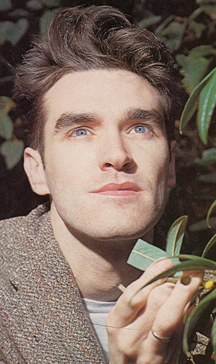 thischarmlessgirl: Morrissey: 1983. 