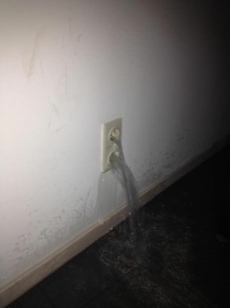 sathereinmyfluffyjumper:
“ princekarkat:
“ dreamingdusk:
“ so
um
do we call an electrician?
or a plumber?
”
how about an exorcist
” ”