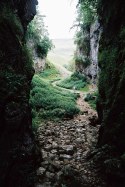 the-hanging-garden:  Trow Gill, Yorkshire