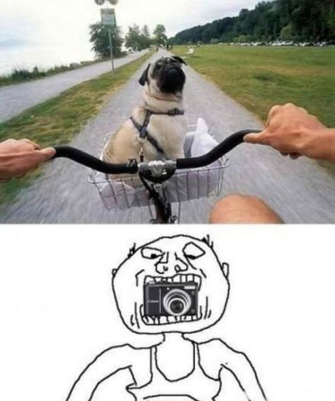 the-absolute-funniest-posts:  Follow this blog, you will love it on your dashboard