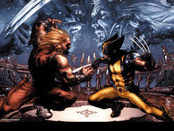 dogpool:  Wolverine needs settle down and