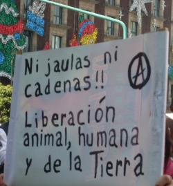 LIBERACIÓN TOTAL