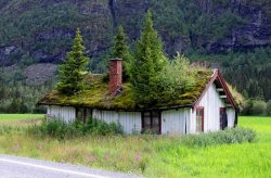 about-the-rain:  Green roofs like this one is