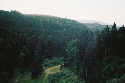 natureac:Take The 52 Week Photo Challenge or Check Out DSLR cameras here