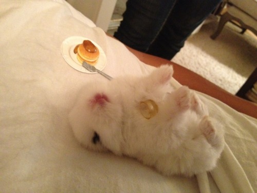 littlemissmutant: This bunny is enjoying an elegant meal atop the body of her fallen enemy.