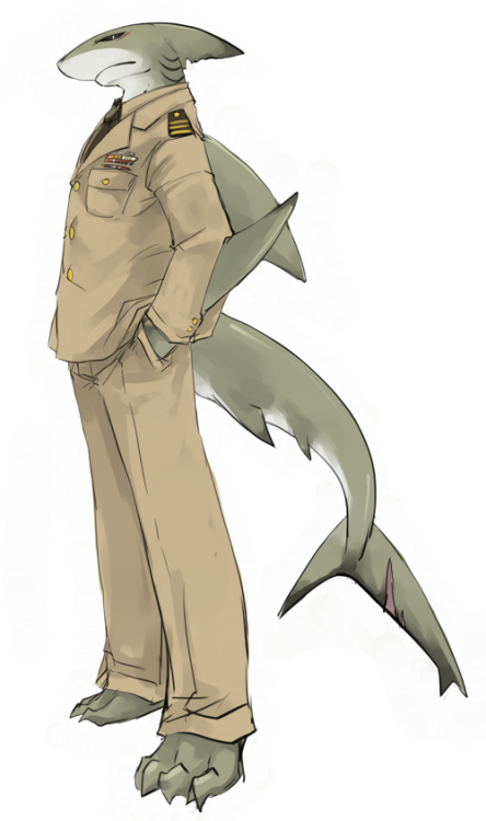 Sex shark-knight:  SHARK ANTHROS MORE LIKE HOT pictures