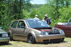canimuff:  Swoops the best mk4