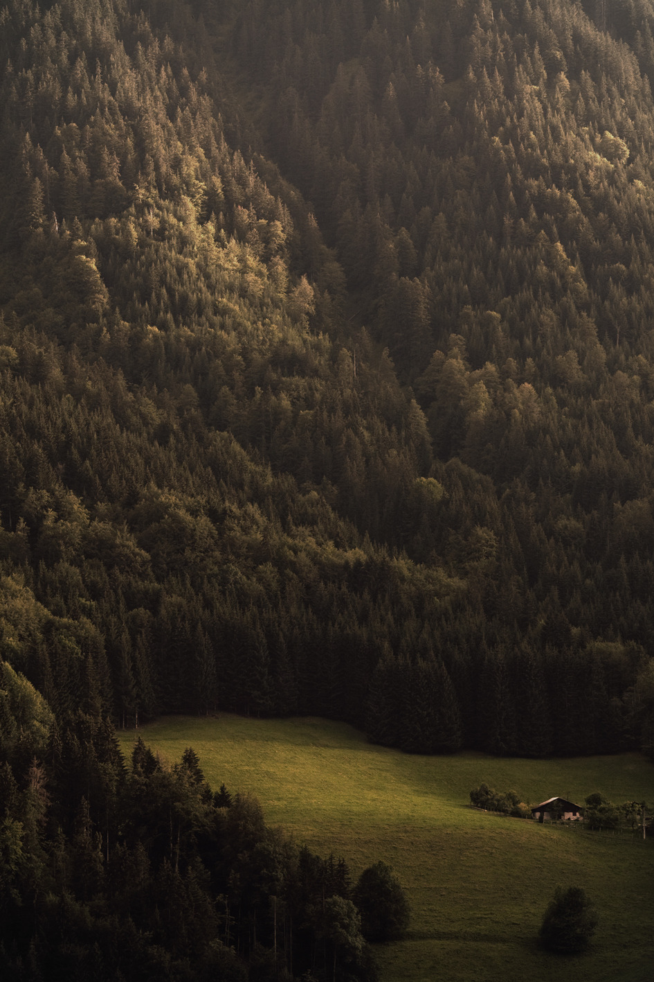 Not all those who wander are lost
