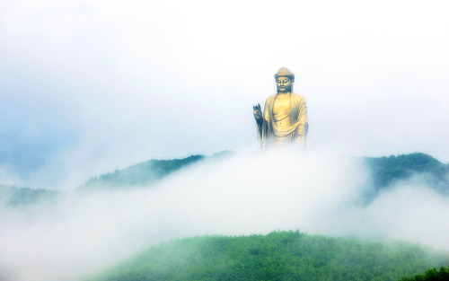     The Spring Temple Buddha in Henan, China, is the tallest statue in the world. It stands 153 metr