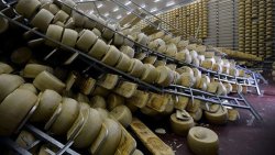 Millions in Parmesan Cheese Destroyed in Italian Earthquake. Images by Getty