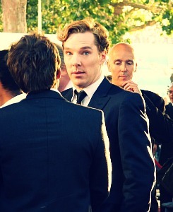 moonblossom:crumblebatchandcustardfreeman:Sillybatch!I think this is my favouritebatch. I love seein