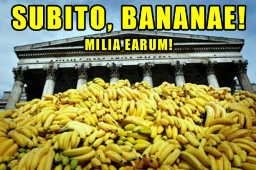 rbnhood: interretialia: interretialia: SUBITO, BANANAE!MILIA EARUM! Suddenly, Bananas!Thousands Of T