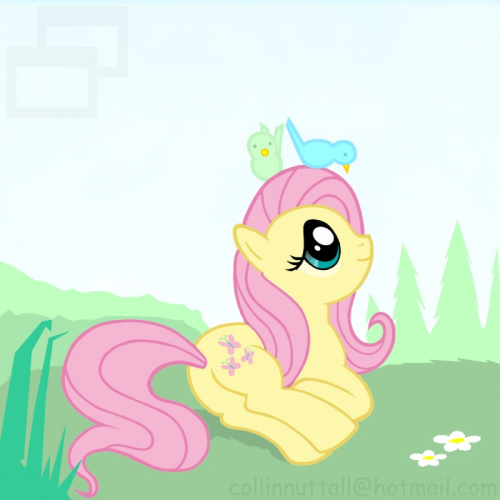 cocoa-bean-loves-fluttershy:  Fluttershy by slushy. 