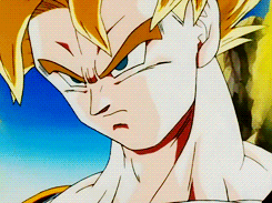 Tenkaichi Budokai