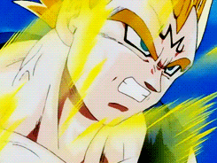 Tenkaichi Budokai