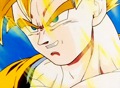 Tenkaichi Budokai