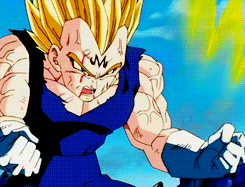 Tenkaichi Budokai