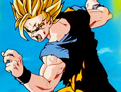 Tenkaichi Budokai