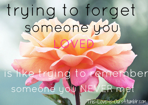 &ldquo;Trying to forget someone you loved is like trying to remember someone you never met&r