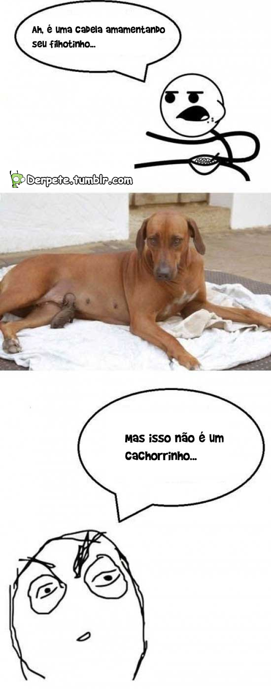derpete:  que lindo kkk 