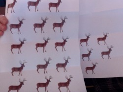 stealingcheese:  i made a bet with my friend for 20 bucks and she wonshes expecting money but little does she know im gonna give her 20 pictures of bucks, male deers. i love myself 