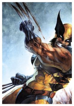 xombiedirge:  Wolverine by Anthony Jean 