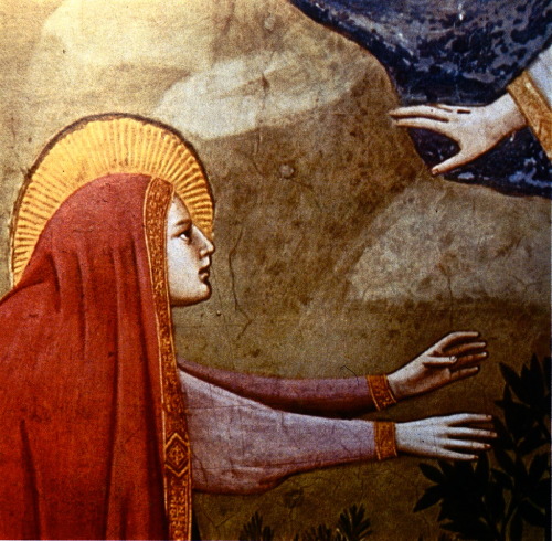 Noli Me Tangere, by Giotto (x)